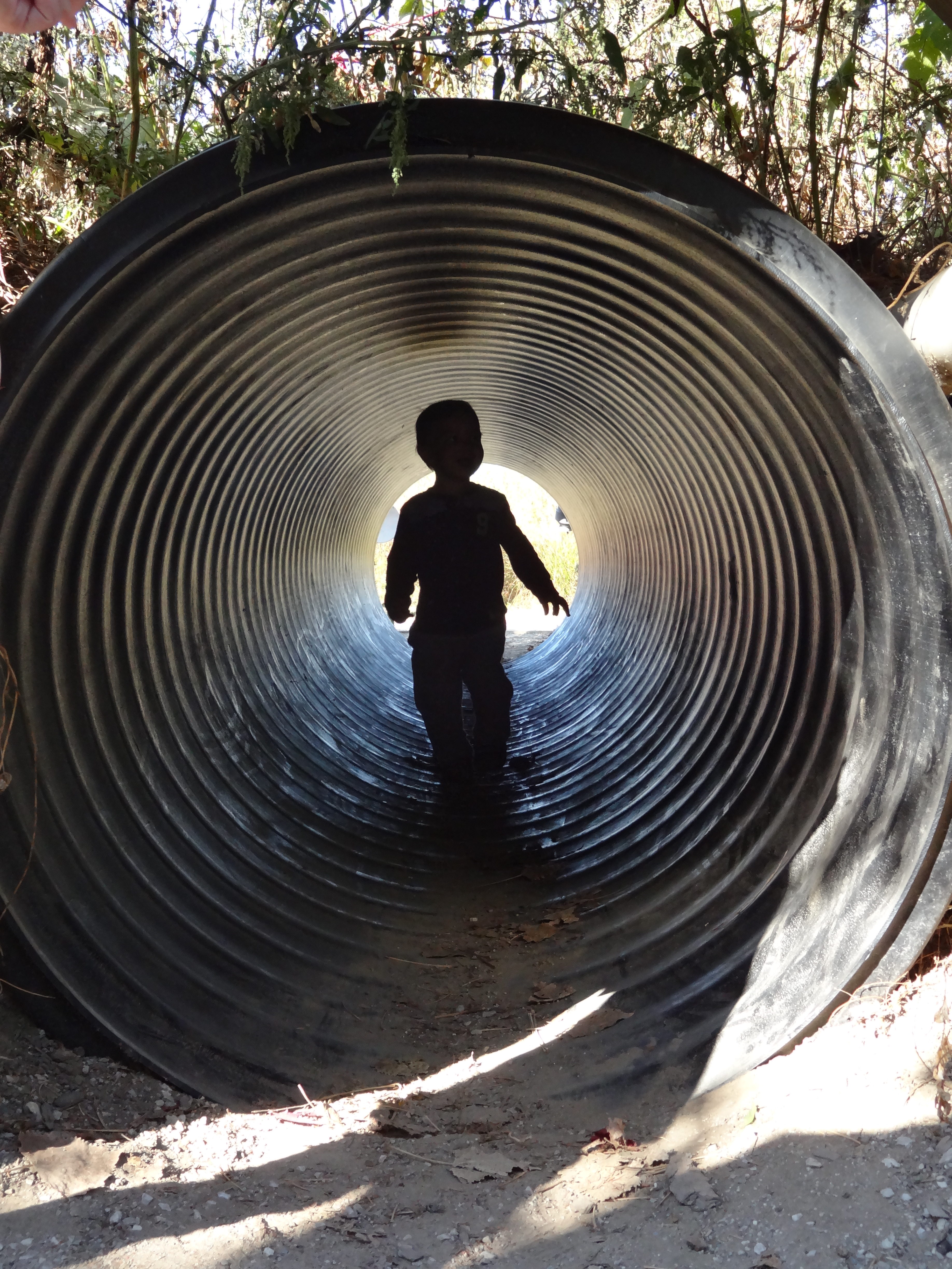 Tunnel in the Imagination Forest play area.