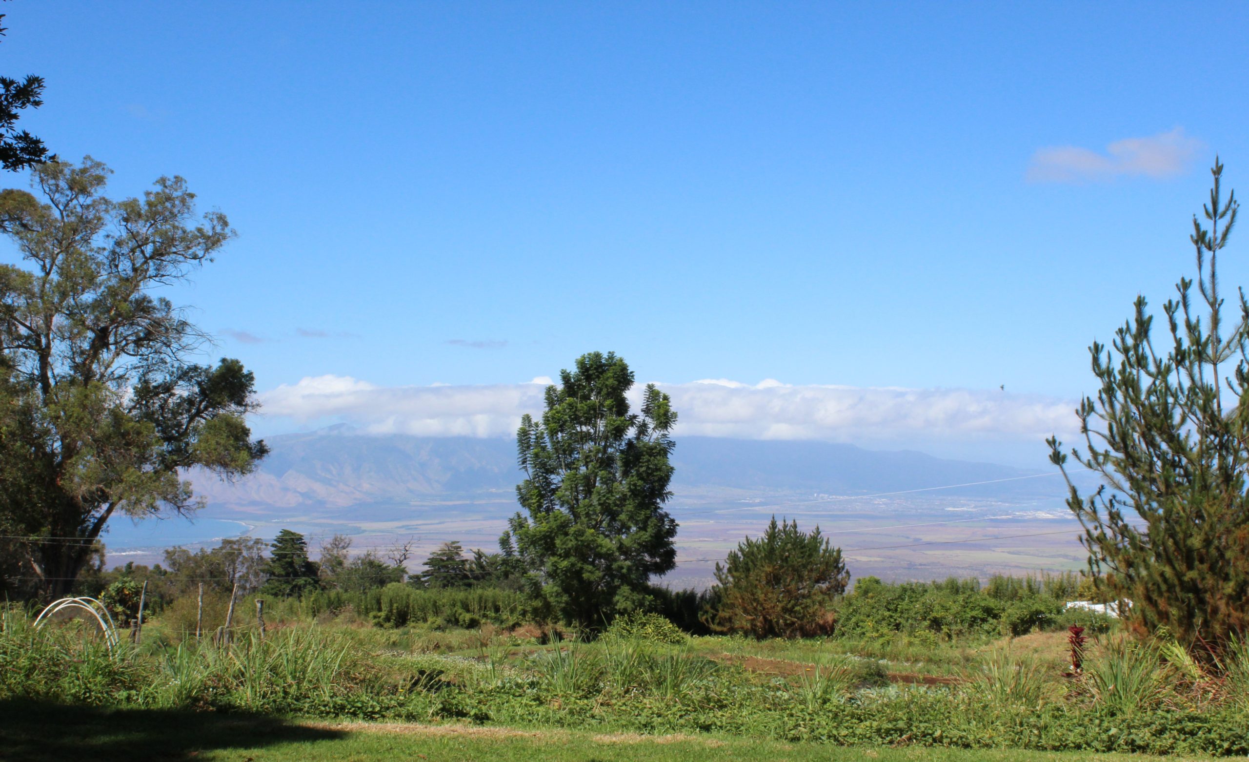 O'o Organic Farm Maui