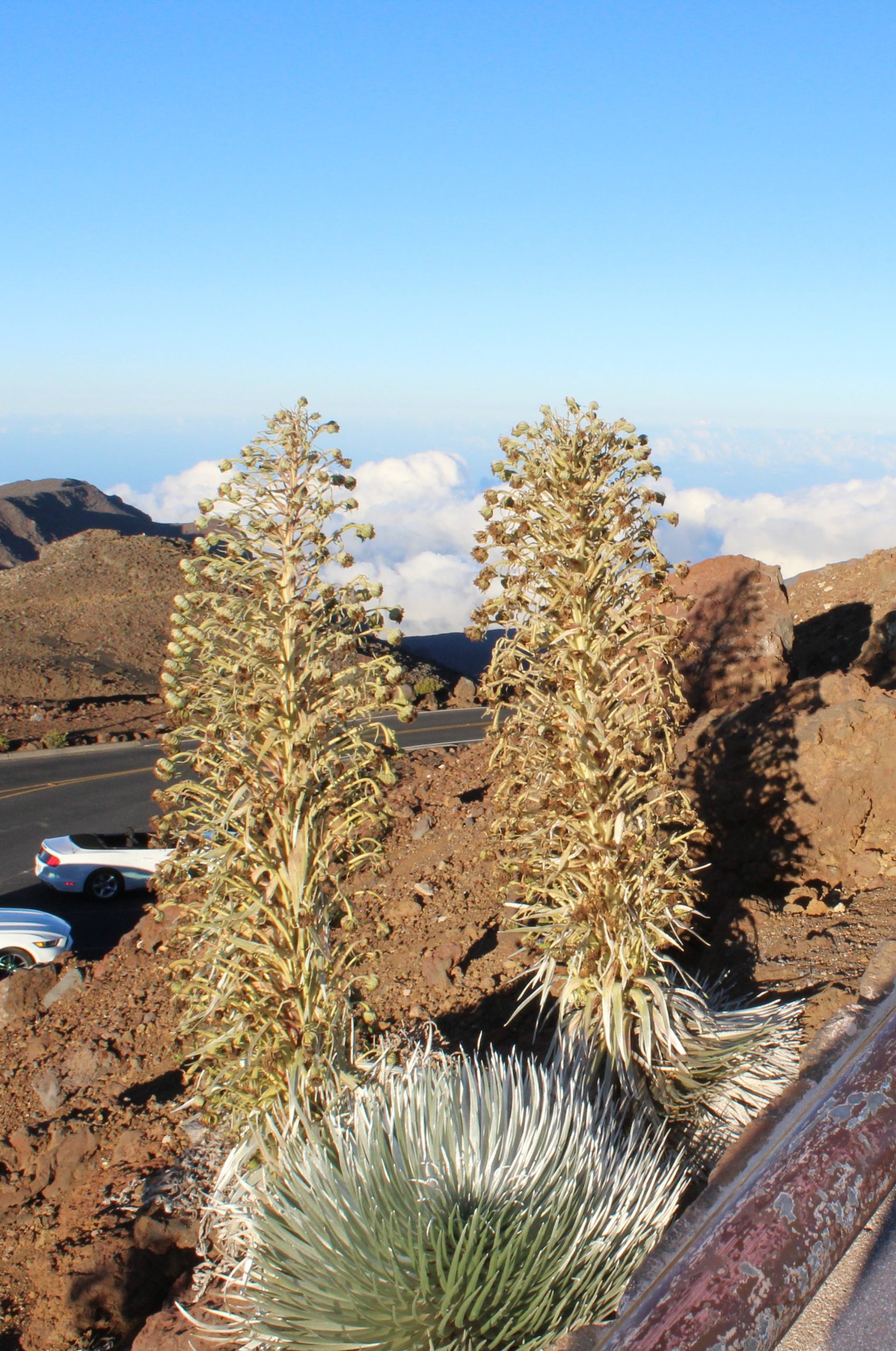 Maui Haleakala Astronomy stargazing