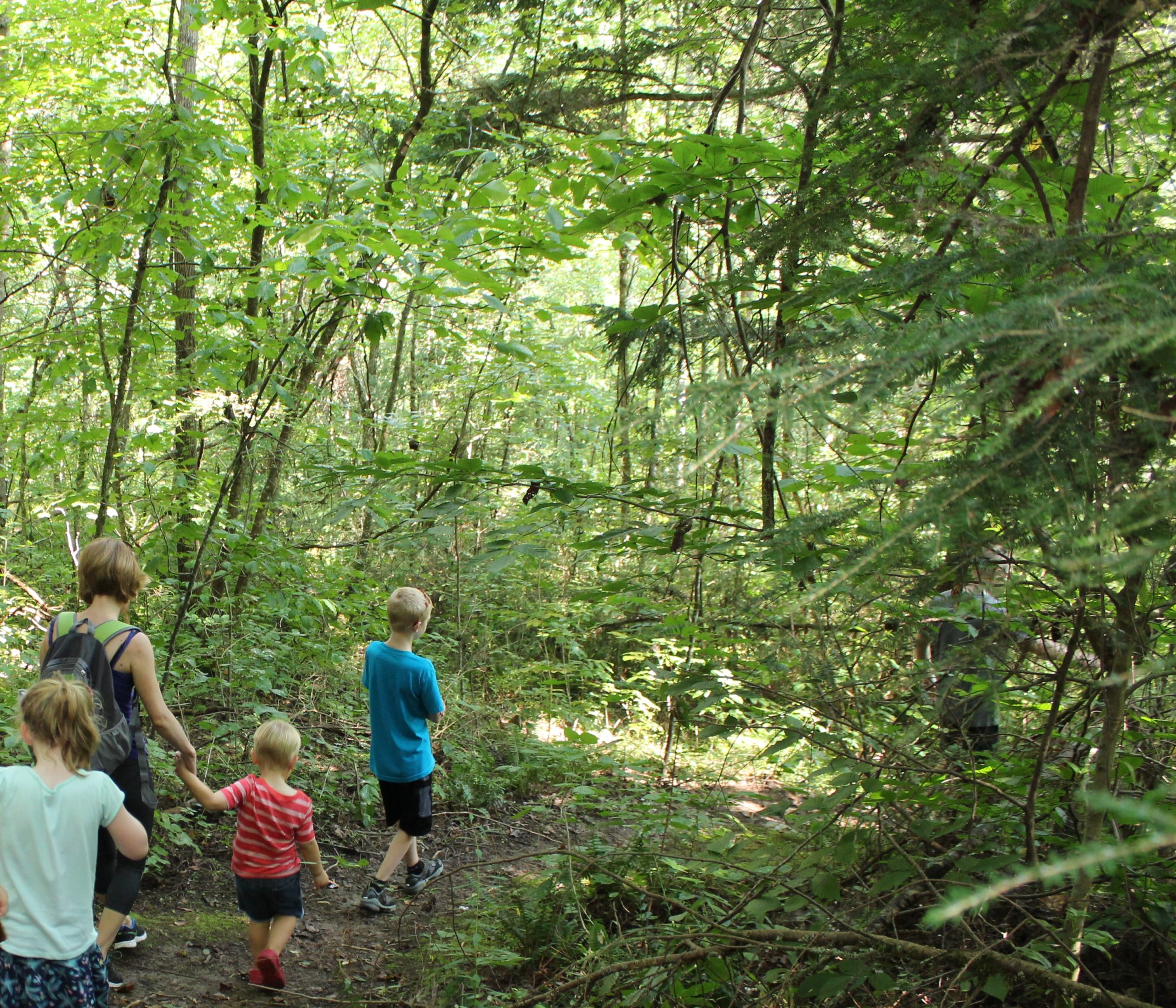 Hiking a trail on the property