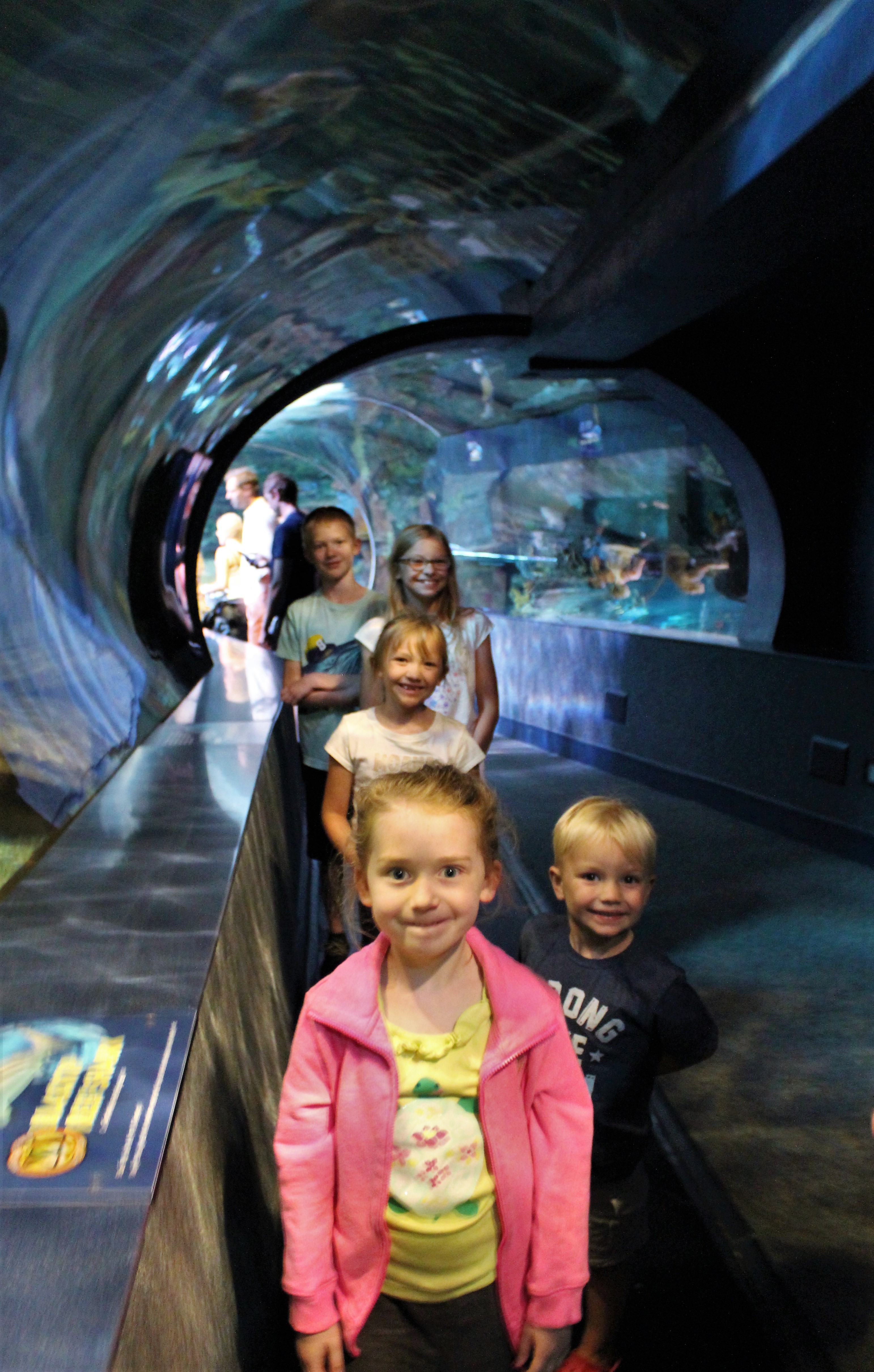 Enjoying the underwater views at Ripley's Aquarium in Gatlinburg