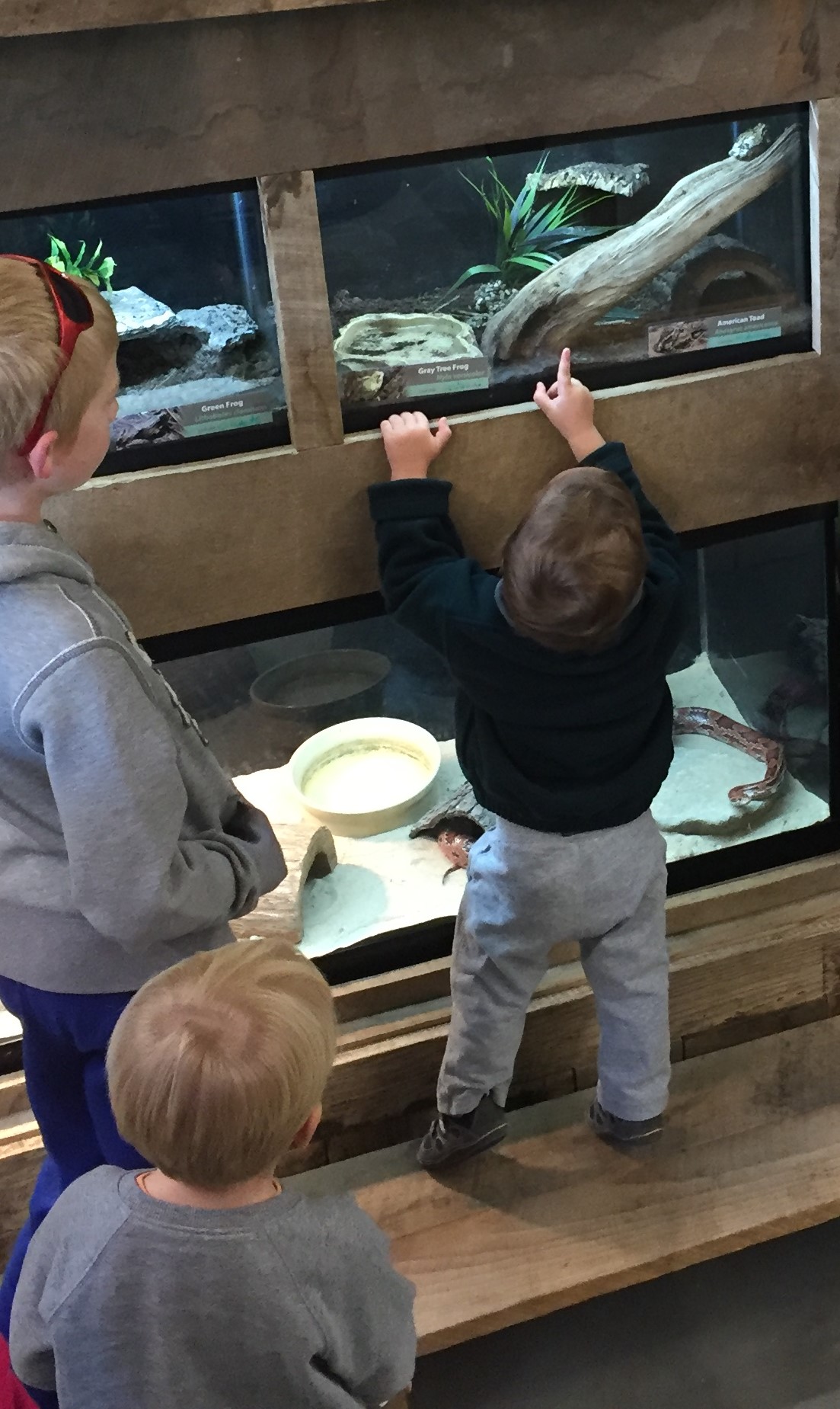 Exhibits are low enough for children to view.