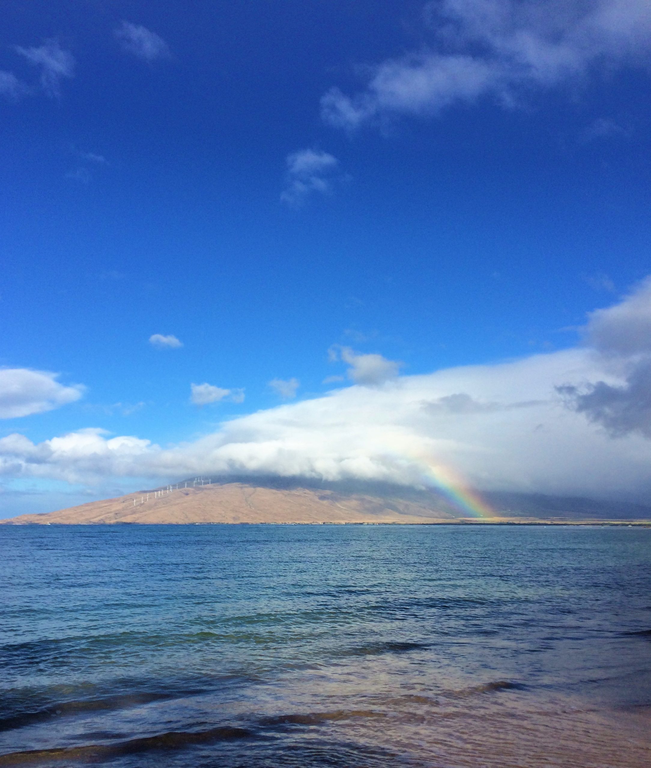 Maui Ocean Center is literally at the end of this rainbow!