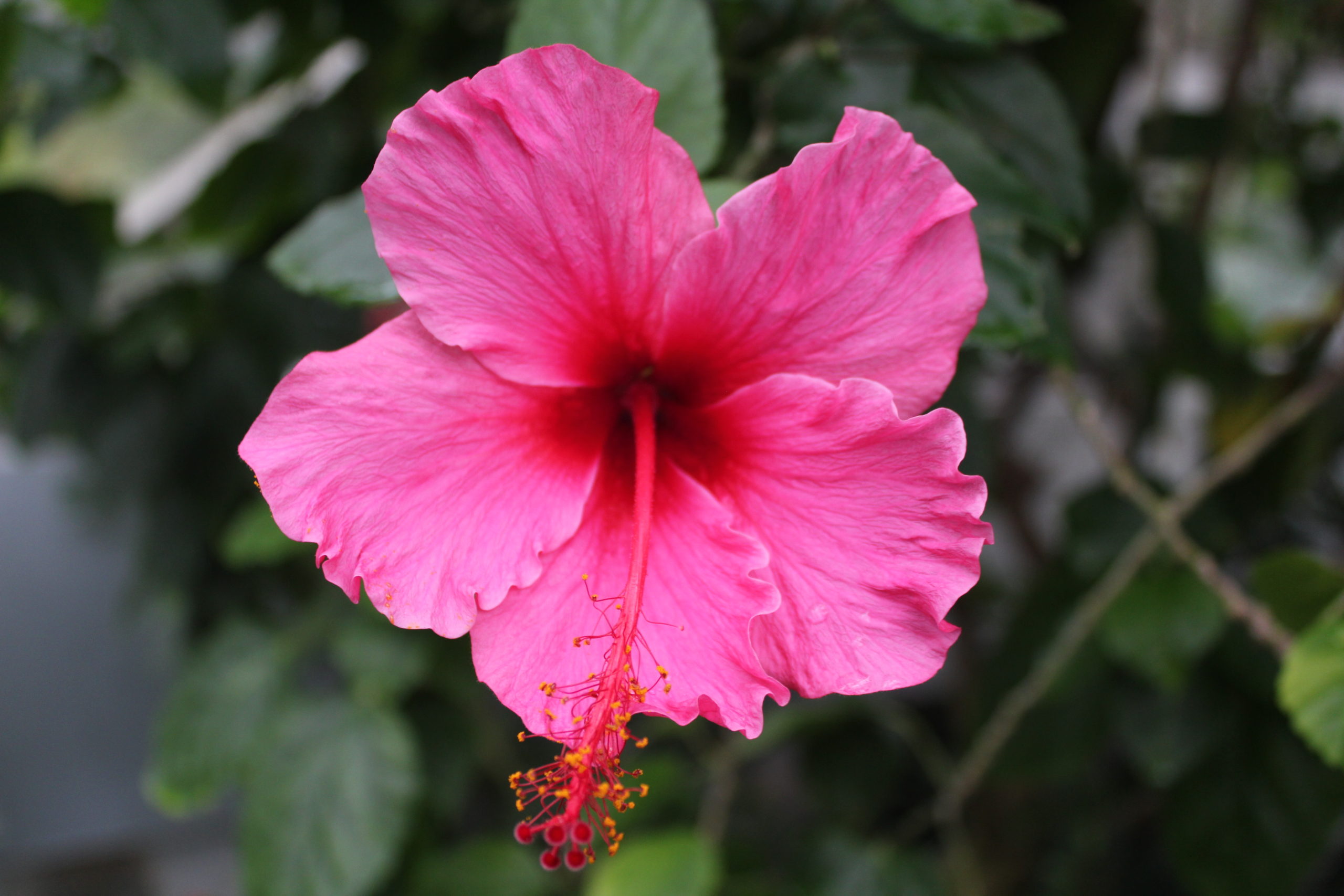 Franklin Park Conservatory - Columbus, Ohio - Perfect place for all ages