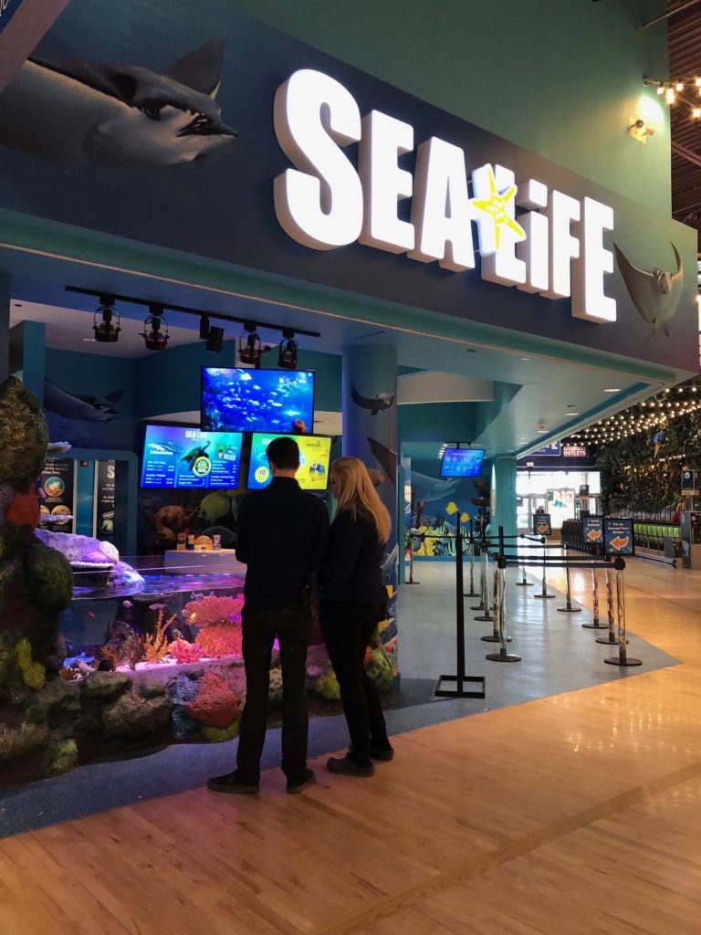 Sea life aquarium Auburn Hills