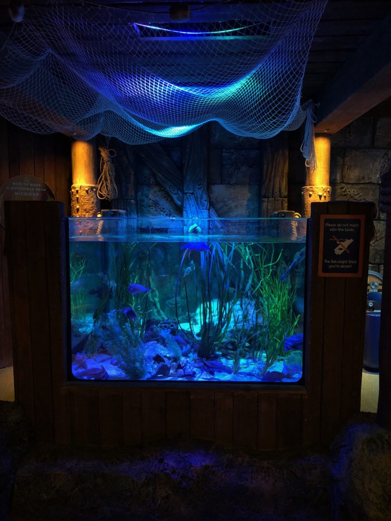 Sea life aquarium Auburn Hills