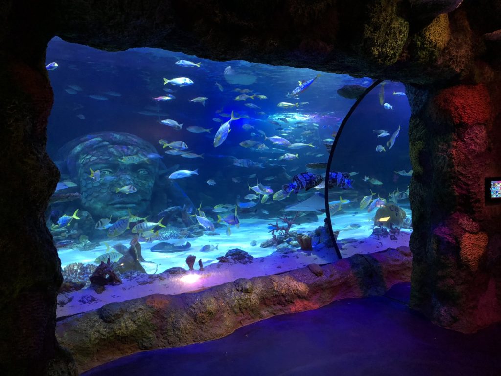 Sea life aquarium Auburn Hills