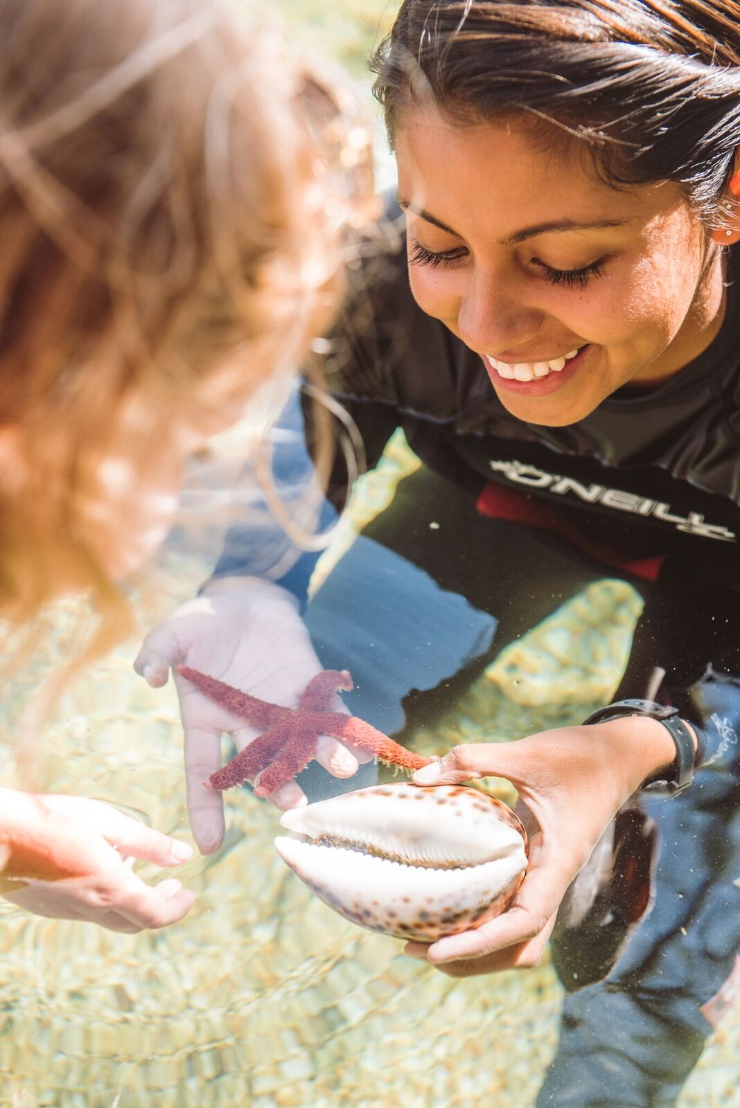 Photo Credit:Maui Ocean center