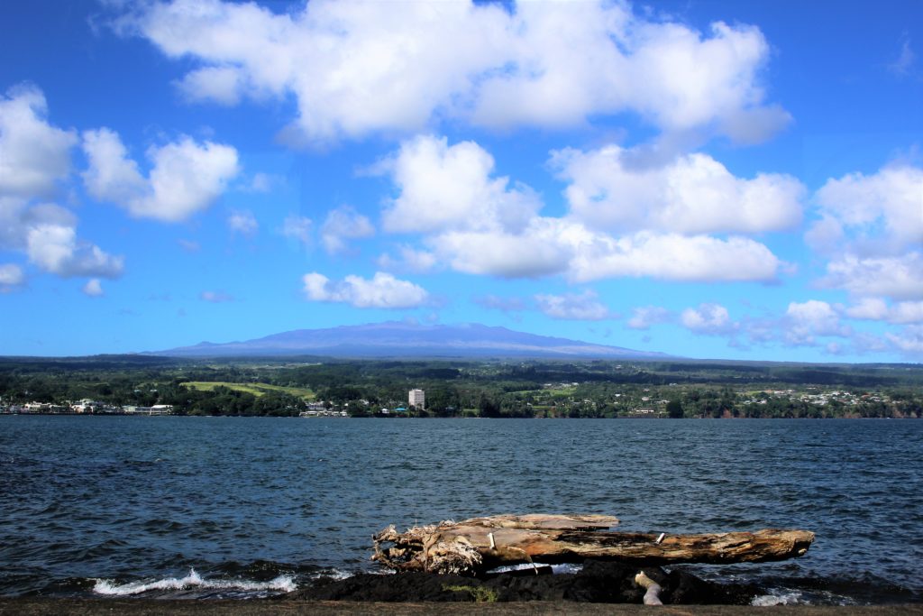 Hawaii Forest and Trail Hilo Tropical Waterfalls Tour Hilo Bay