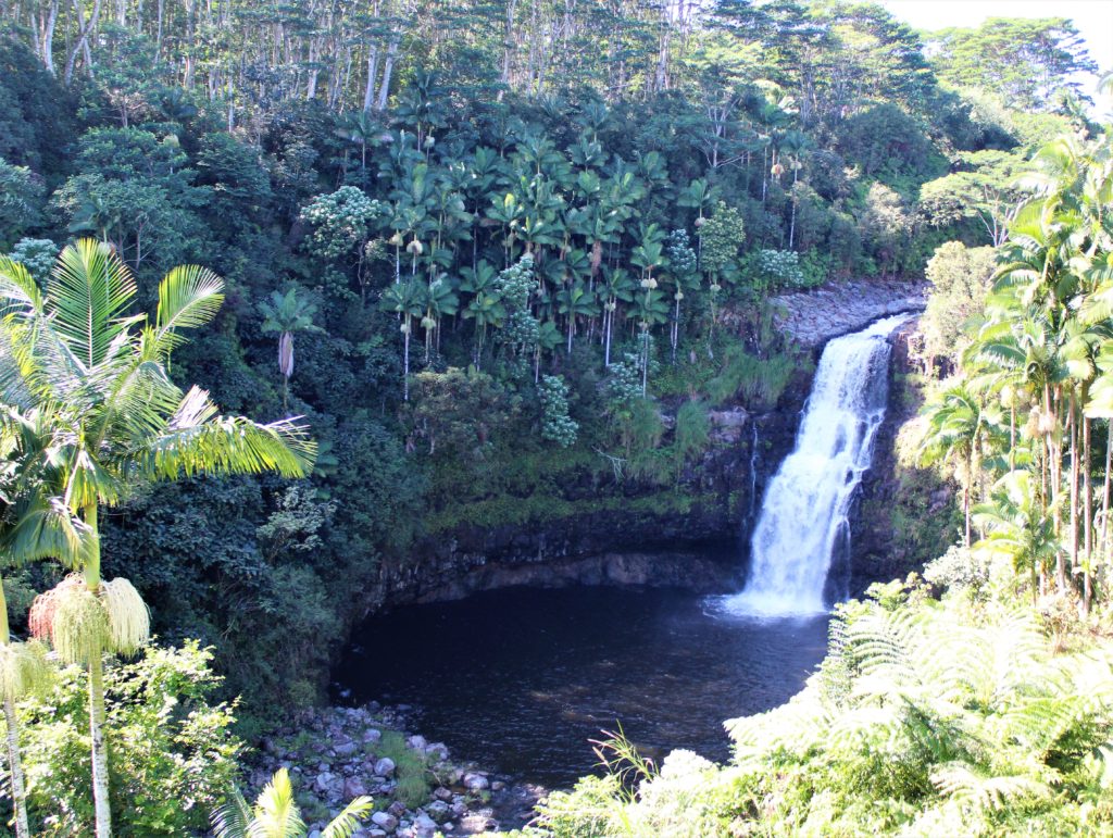 Hawaii Forest and Trail Hilo Tropical Waterfalls Tour. 