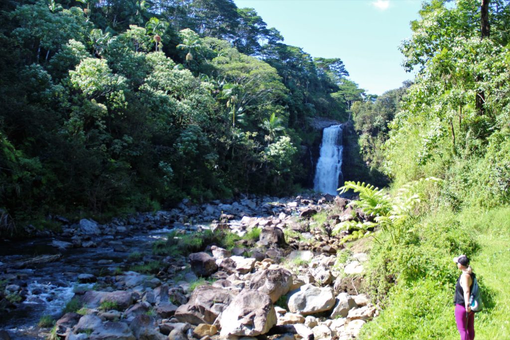 Hawaii Forest and Trail Hilo Tropical Waterfalls Tour.  