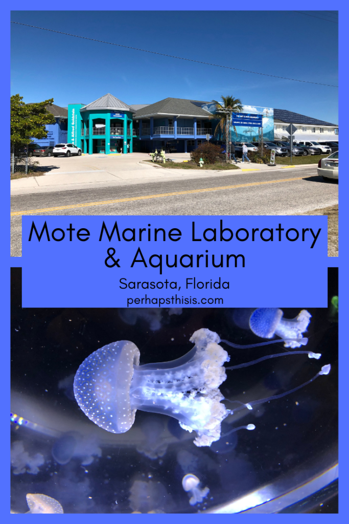 Come along with us as we explore the Mote Marine Laboratory & Aquarium in Sarasota Florida. You’ll see animals from Florida’s freshwater, all the way to the coastal-ocean habitats. There are tons of fish, jellies, sharks, sea turtles, manatees, river otters, and even a giant squid named Molly. Plus, you get a look at the surprise we found in the gift shop!
#moteaquarium #manatee #seaturtle #sarasota 