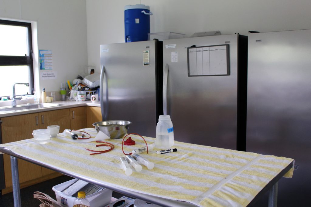 Food prep and kitchen area.