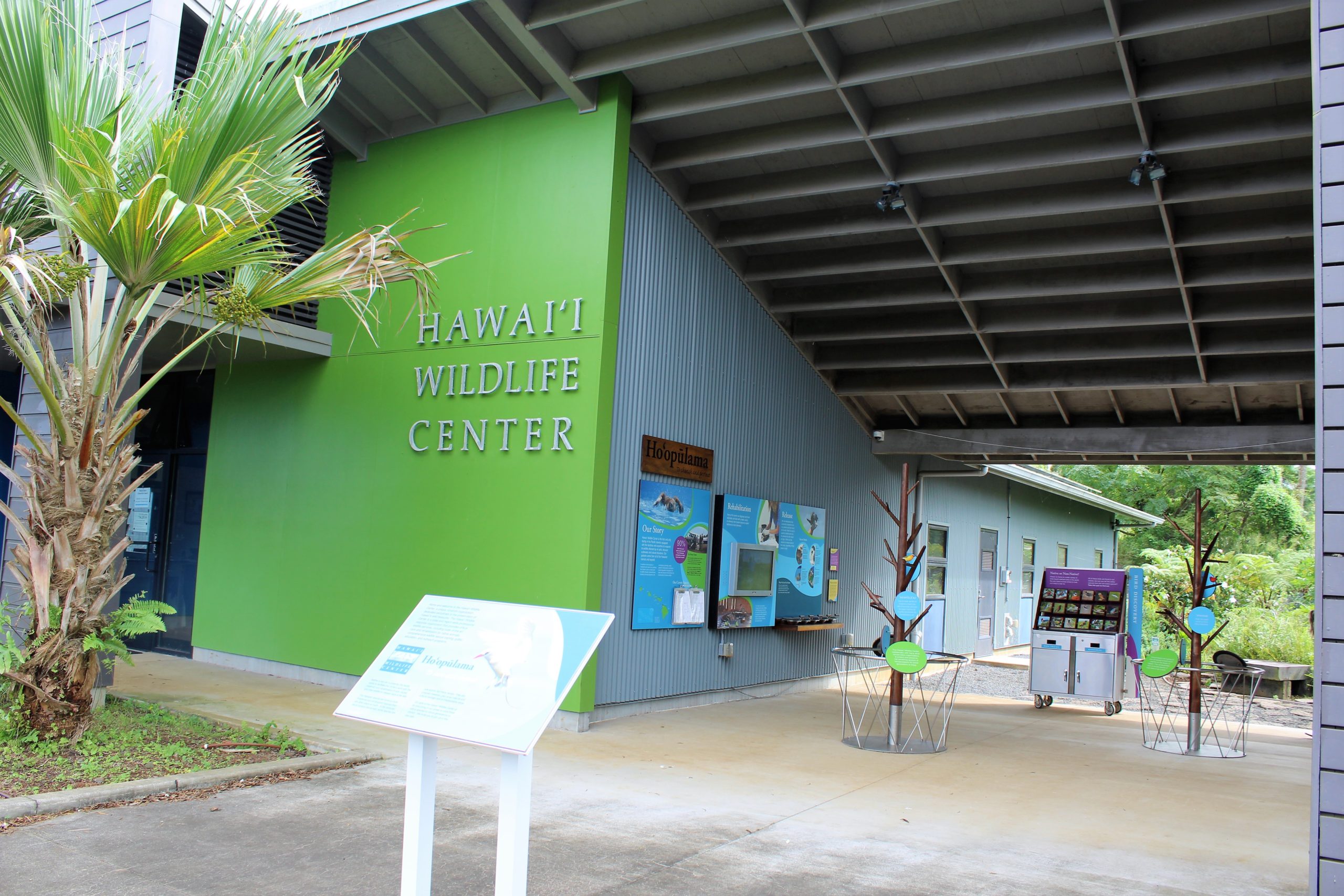 We recently discovered Hawai'i Wildlife Center when looking for ways we could volunteer during our vacation on the Big Island. This amazing facility rehabilitates native Hawaiian birds, and the Hoary Bat, for release back into the wild. We are excited to tell you about our time spent exploring and to share with you how our family was able to give back to help the animals. We hope you'll consider stopping by Hawaii Wildlife Center if you are ever on the Big Island. We are so glad we did!