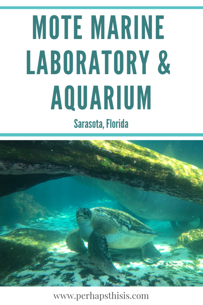 Come along with us as we explore the Mote Marine Laboratory & Aquarium where you’ll see animals from Florida’s freshwater, all the way to the coastal-ocean habitats. There are tons of fish, jellies, sharks, sea turtles, manatees, river otters, and even a giant squid named Molly. Plus, you get a look at the surprise we found in the gift shop! #moteaquarium #sarasota #florida #manatee #seaturtles #riverotters