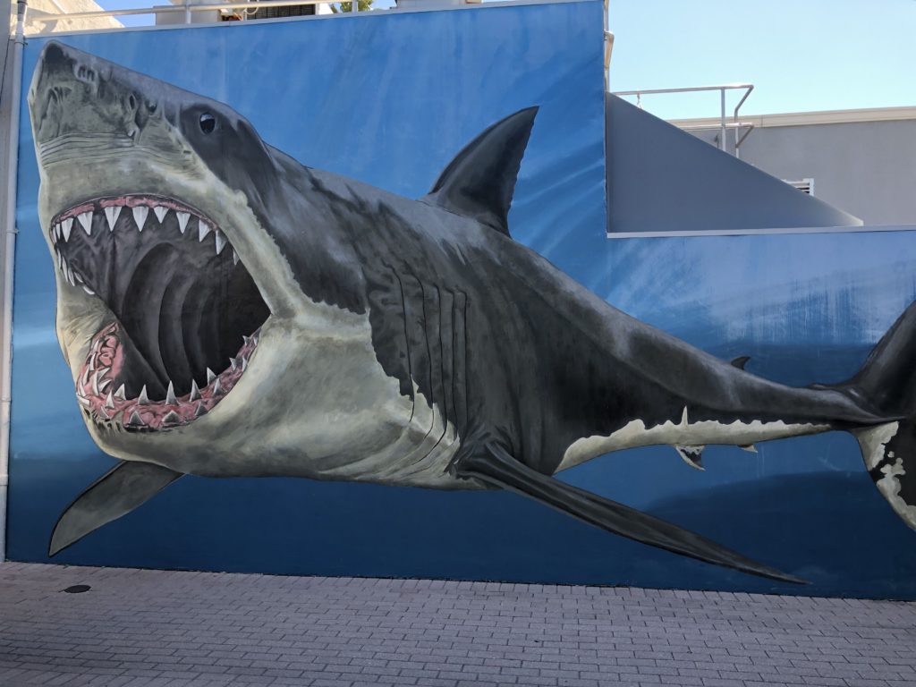 Megalodon mural