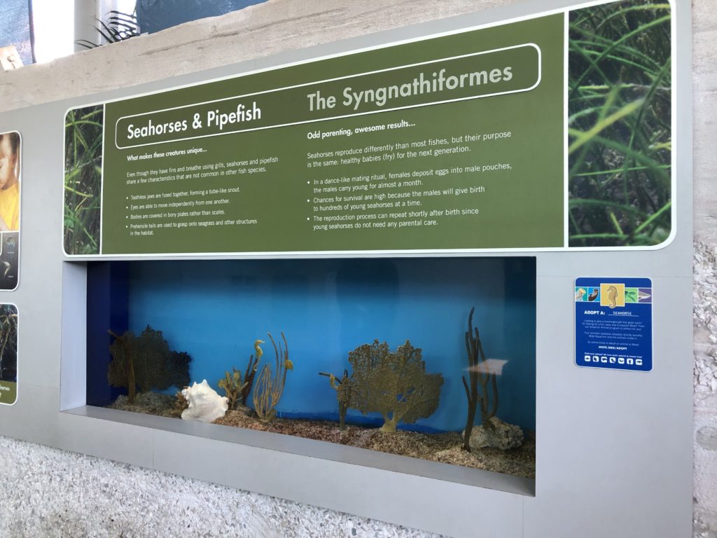 Coastal Waters exhibit