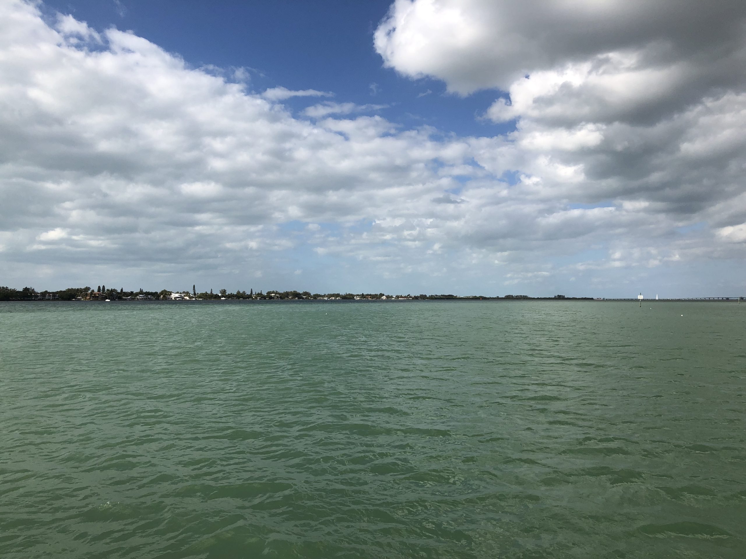 When you're in Florida you need to get out on the water! We decided to try a dolphin boat tour because it would allow us the opportunity to get up close to dolphins while still in their natural habitat. Find out which place offers the best dolphin tour on Anna Maria Island. Read all about our family’s unforgettable afternoon experiencing the dolphins that call Florida home. It will put you in a sunshine state of mind! #dolphin #dolphintour #annamariaisland #florida #thingstodo #familytravel