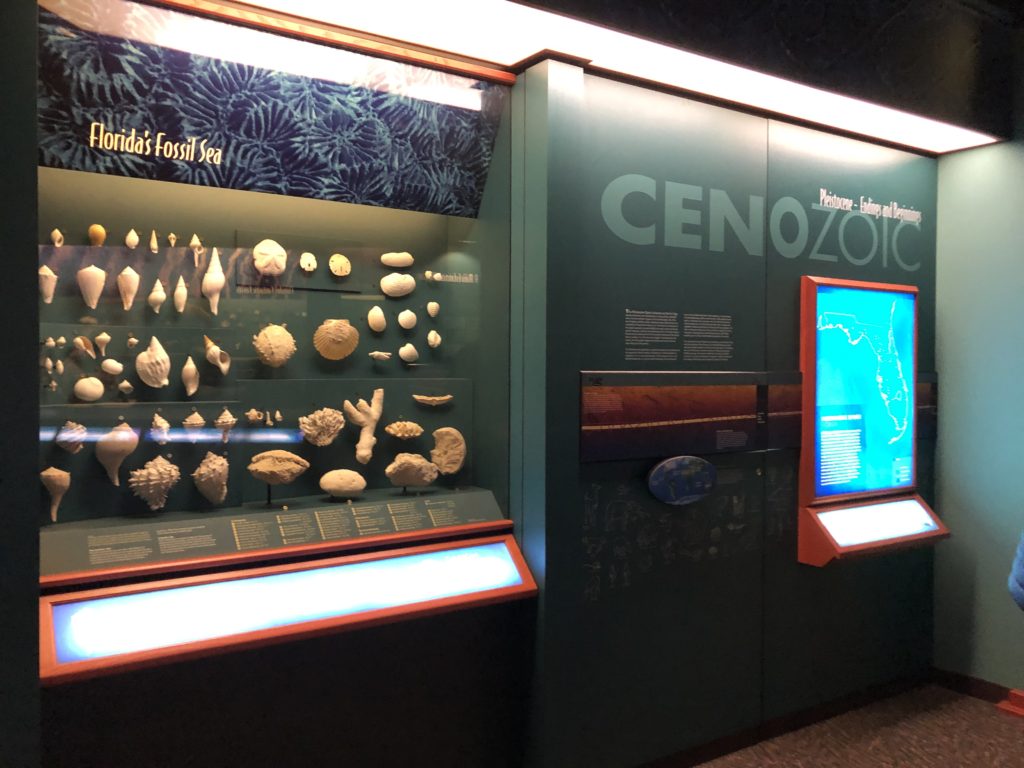 Florida's Fossil Sea - Cenozoic Era