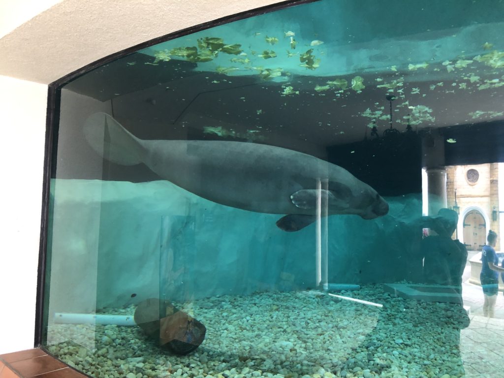 Parker Rehabilitation Aquarium Underwater Viewing Area 