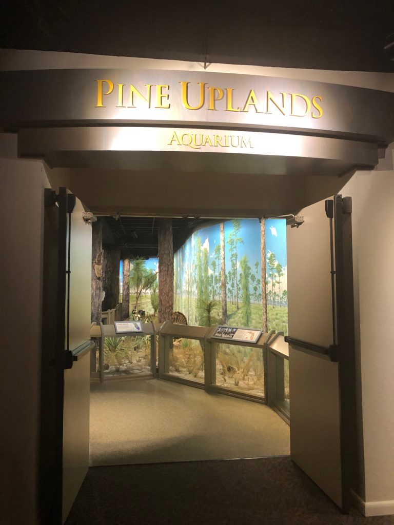 Entrance to the Pine Uplands and the Aquarium