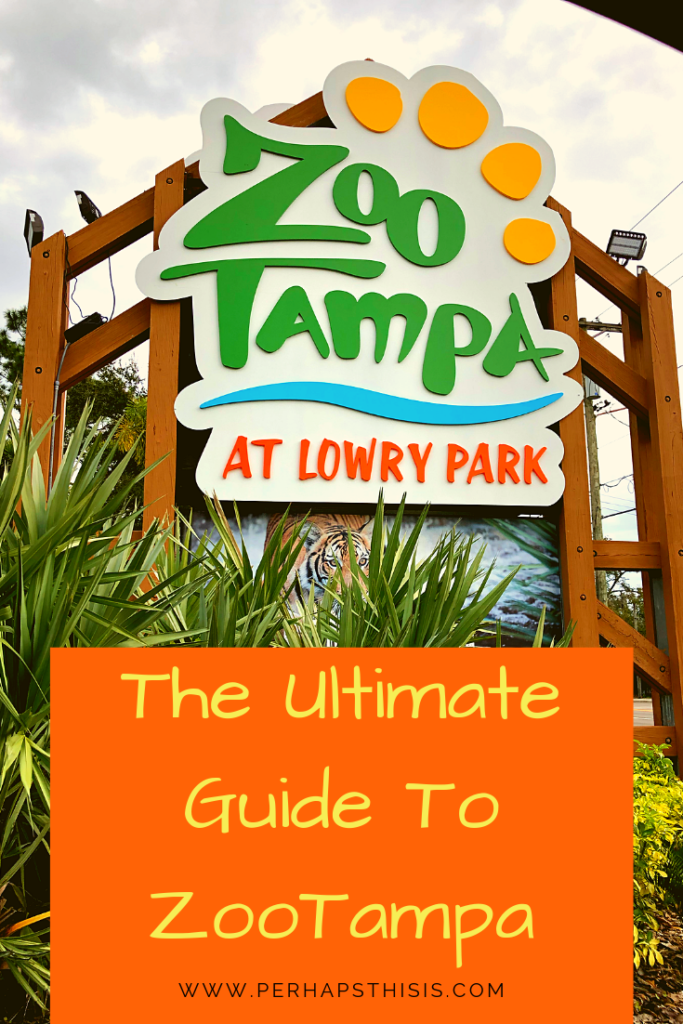 The Ultimate Guide to ZooTampa - Tampa, Florida