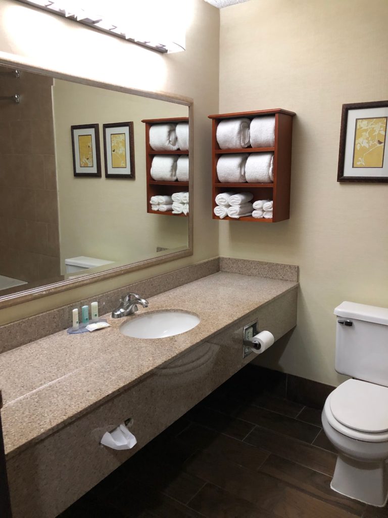 Quality Inn & Suites Spacious bathroom