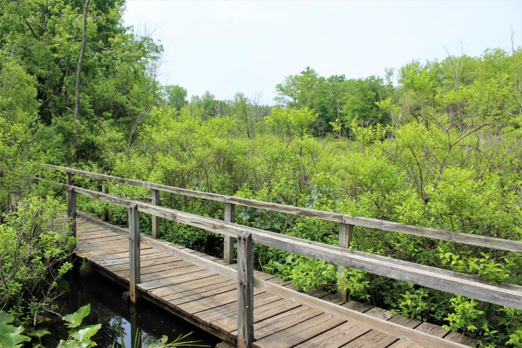 Hiking Indiana Dunes State park