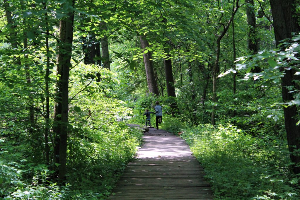 Indiana Dunes State Park trails