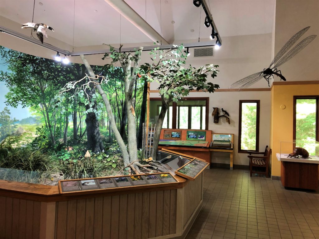 Indiana Dunes State Park Nature Center Diorama,  Indiana Dunes Wildlife