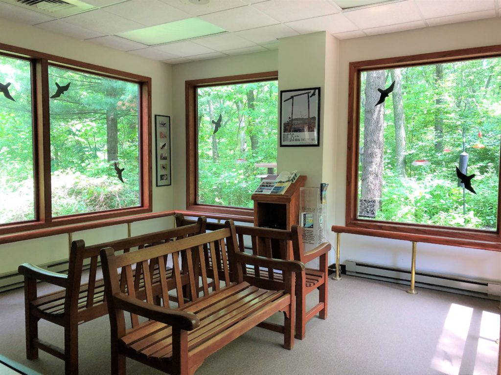 Indiana Dunes State Park Nature Center, Wildlife Viewing Indiana Dunes