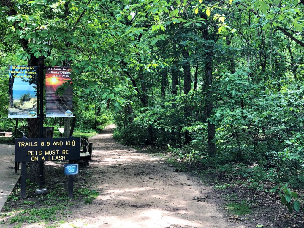 Indiana Dunes State Park trails