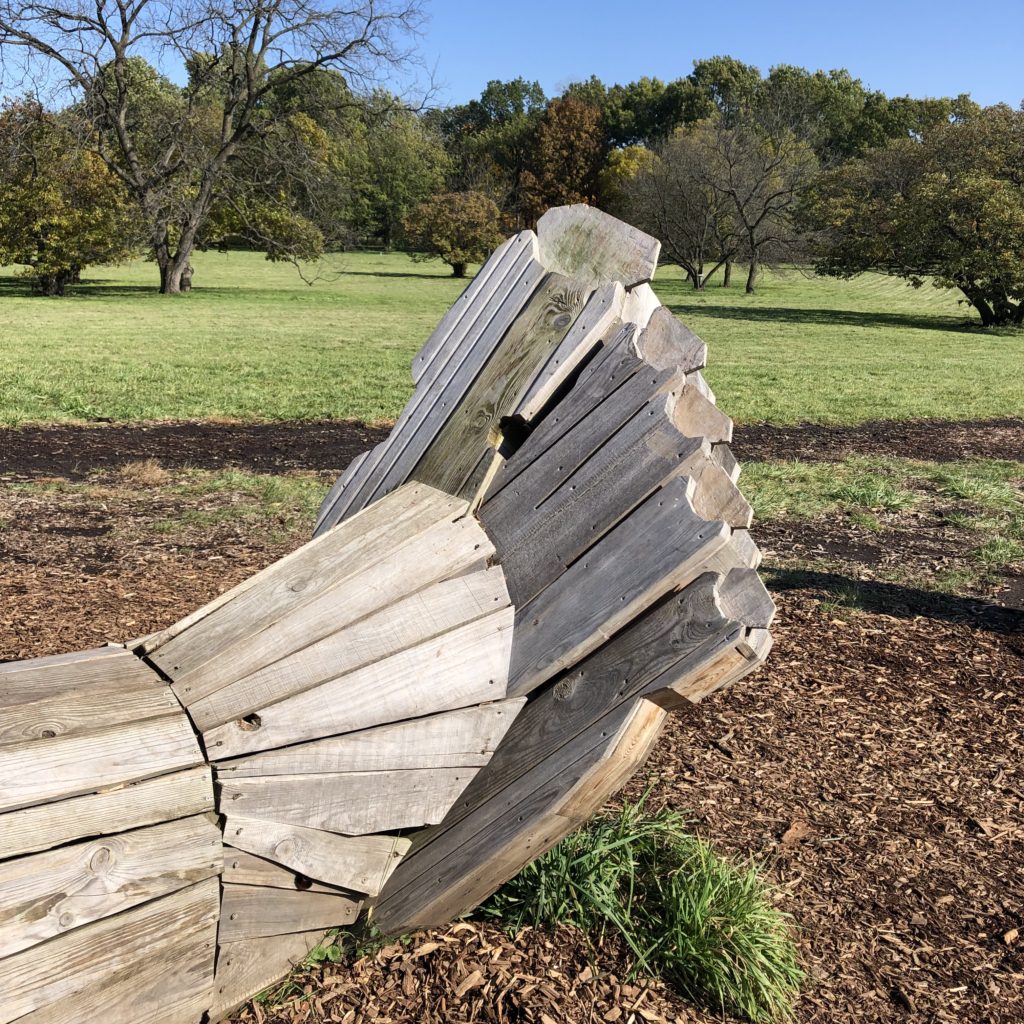 Troll Foot - Troll Hunt Morton Arboretum