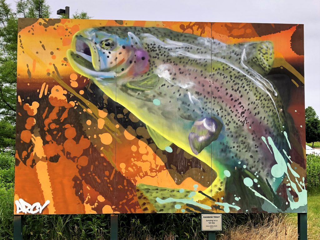  Rainbow Trout mural by artist Ryan "ARCY" Christenson.  Indiana Dunes Visitor center Art Walk