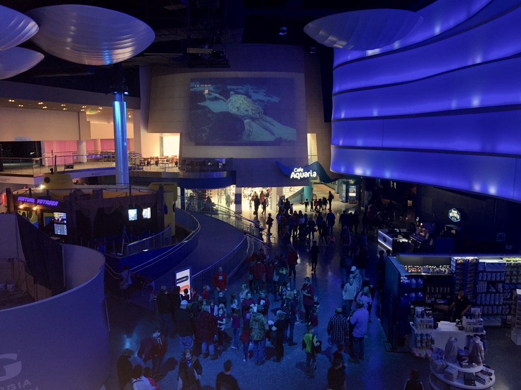 View from second floor over looking the lobby of the Georgia Aquarium