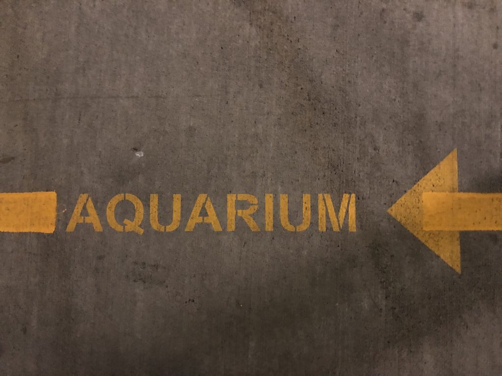 The word "aquarium" painted on the floor of the parking ramp