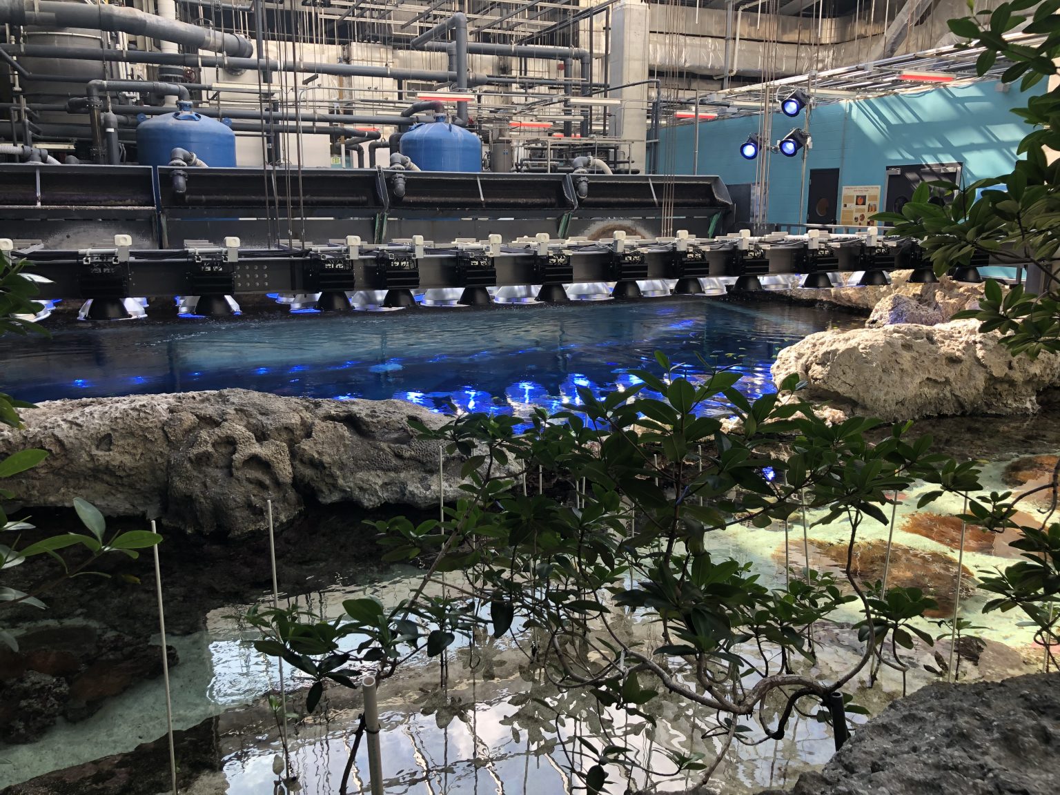 Top 4 Fascinating Stops On the Aquarium BehindtheScenes Tour