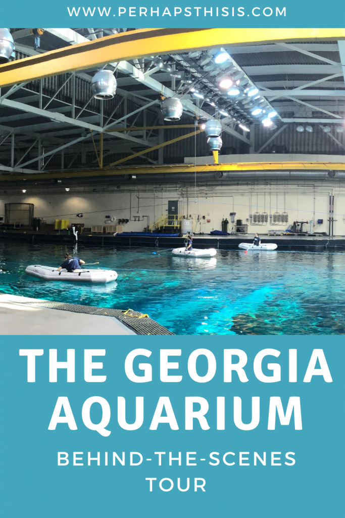 The Georgia Aquarium Behind-The-Seas Tour