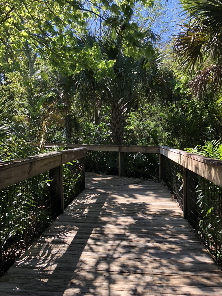 Boardwalk walkways throughout the Brevard Zoo.