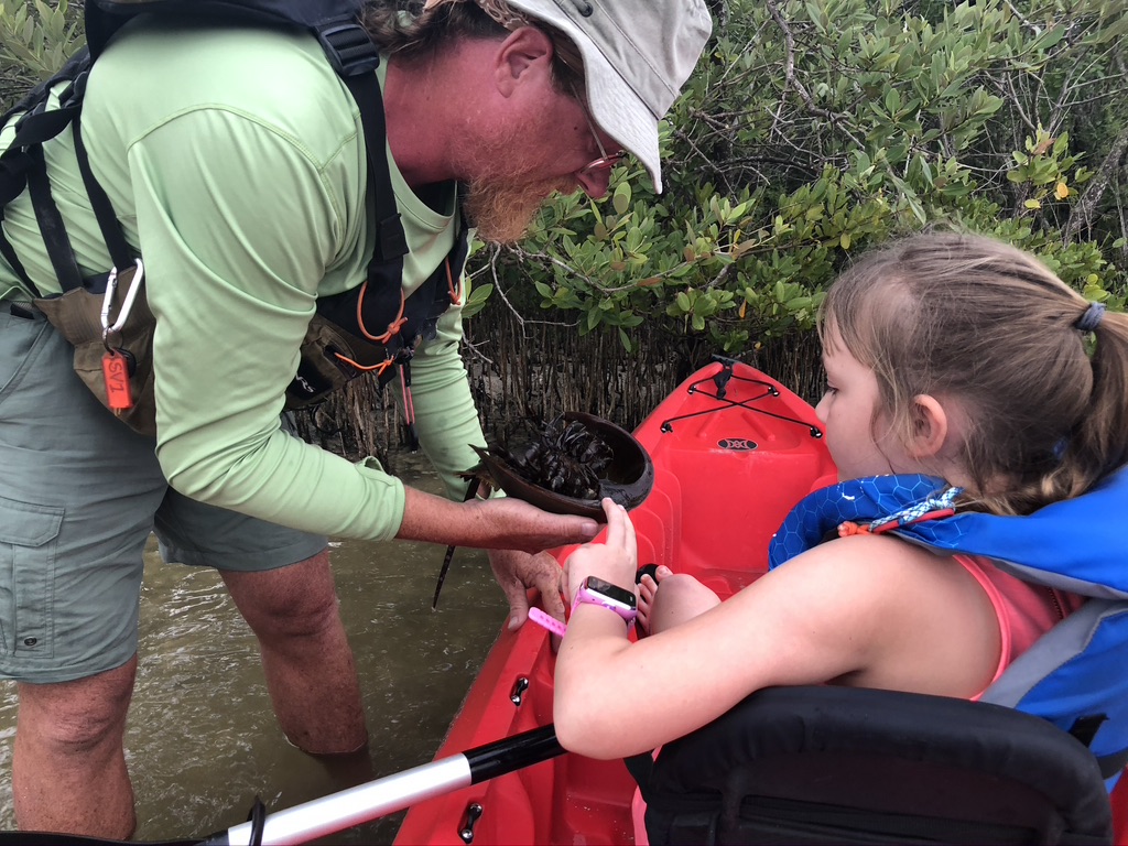 Our kayak guide talking about horseshoe crabs.