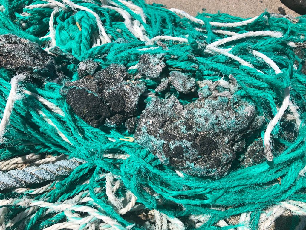 A visit with Upcycle Hawaii to one of the most polluted shorelines in ...