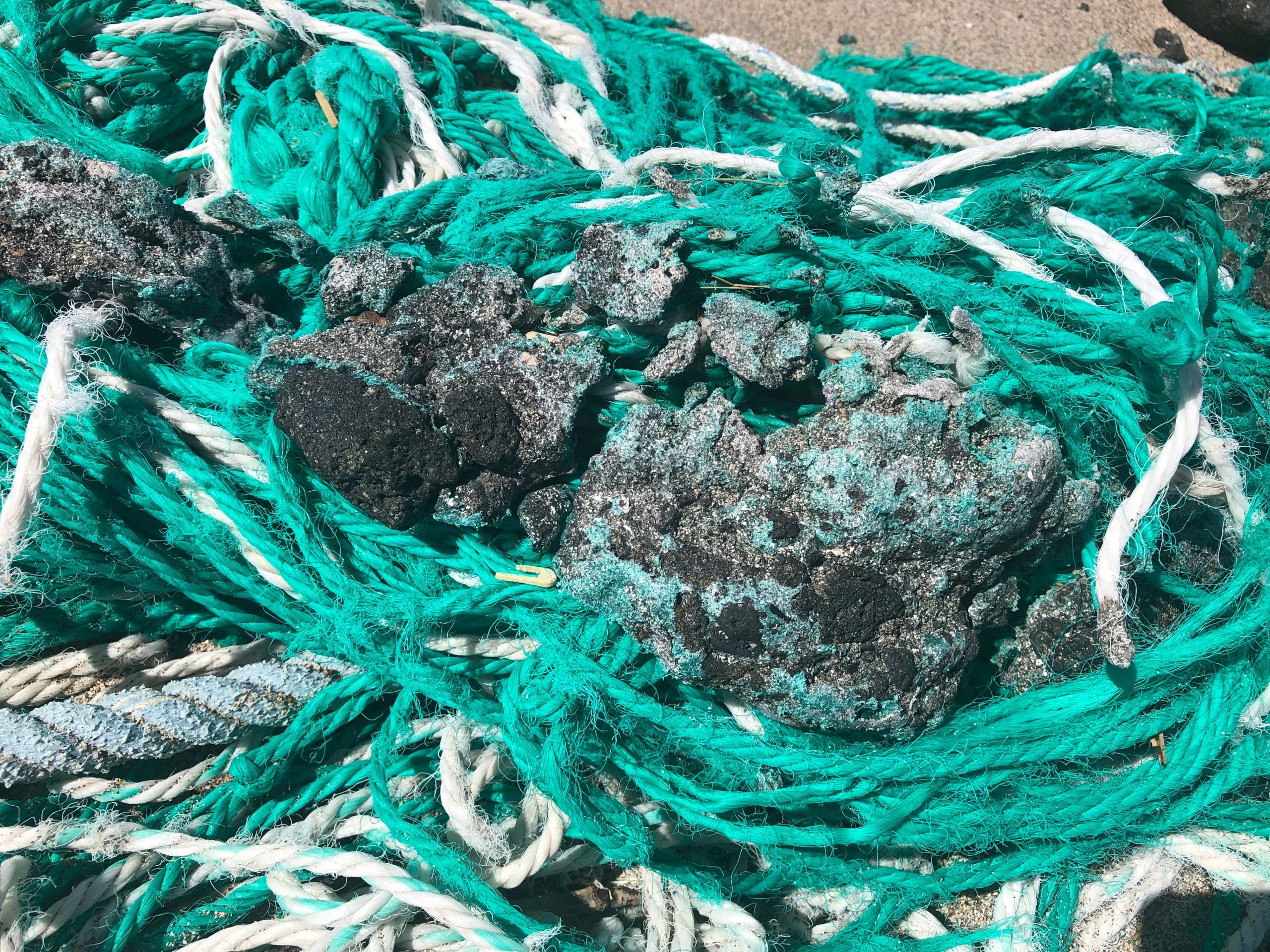 Plastiglomerate attached to a ghost net that has washed ashore on the Big Island of Hawaii.