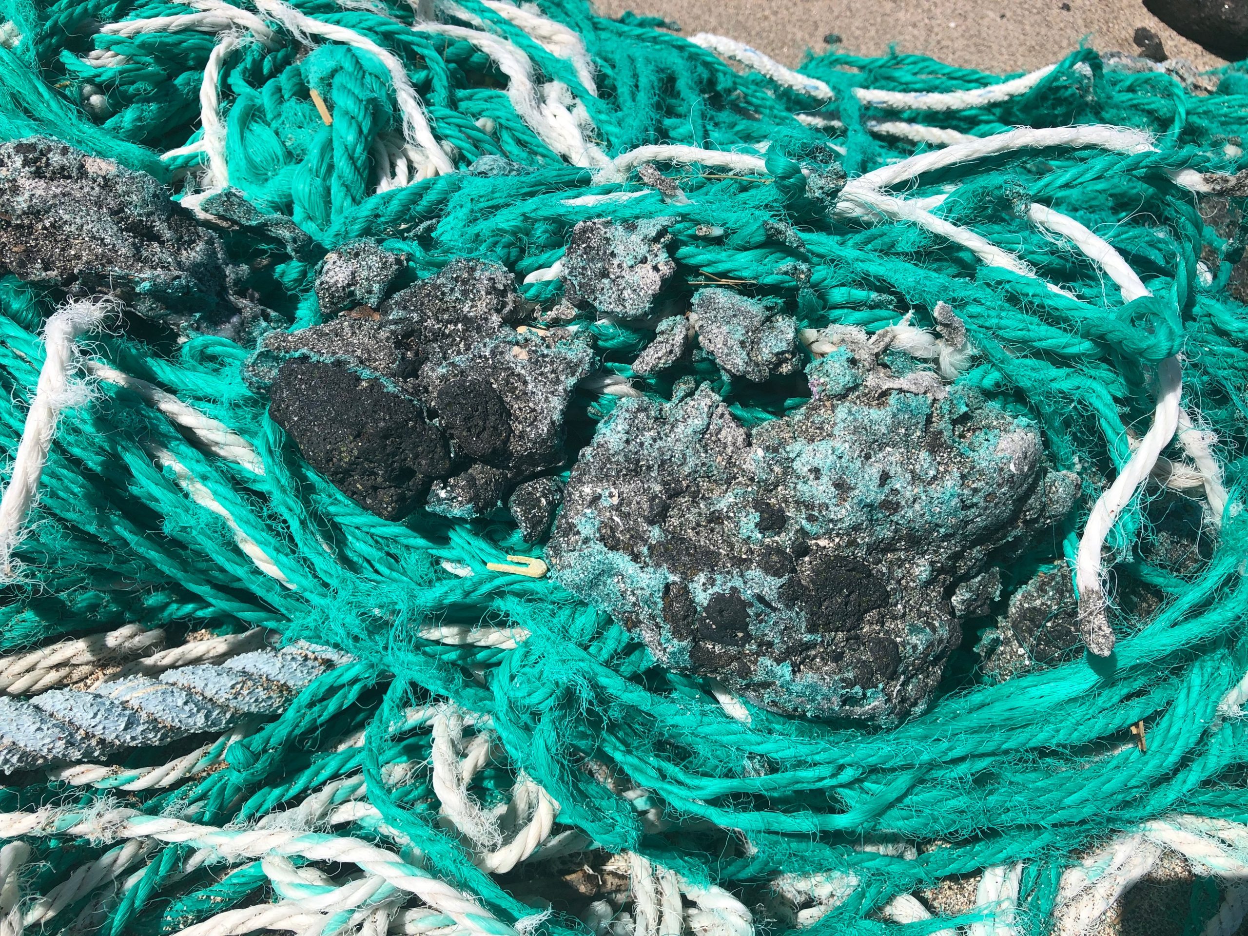 Plasticglomerate, melted plastic fused to rock. 