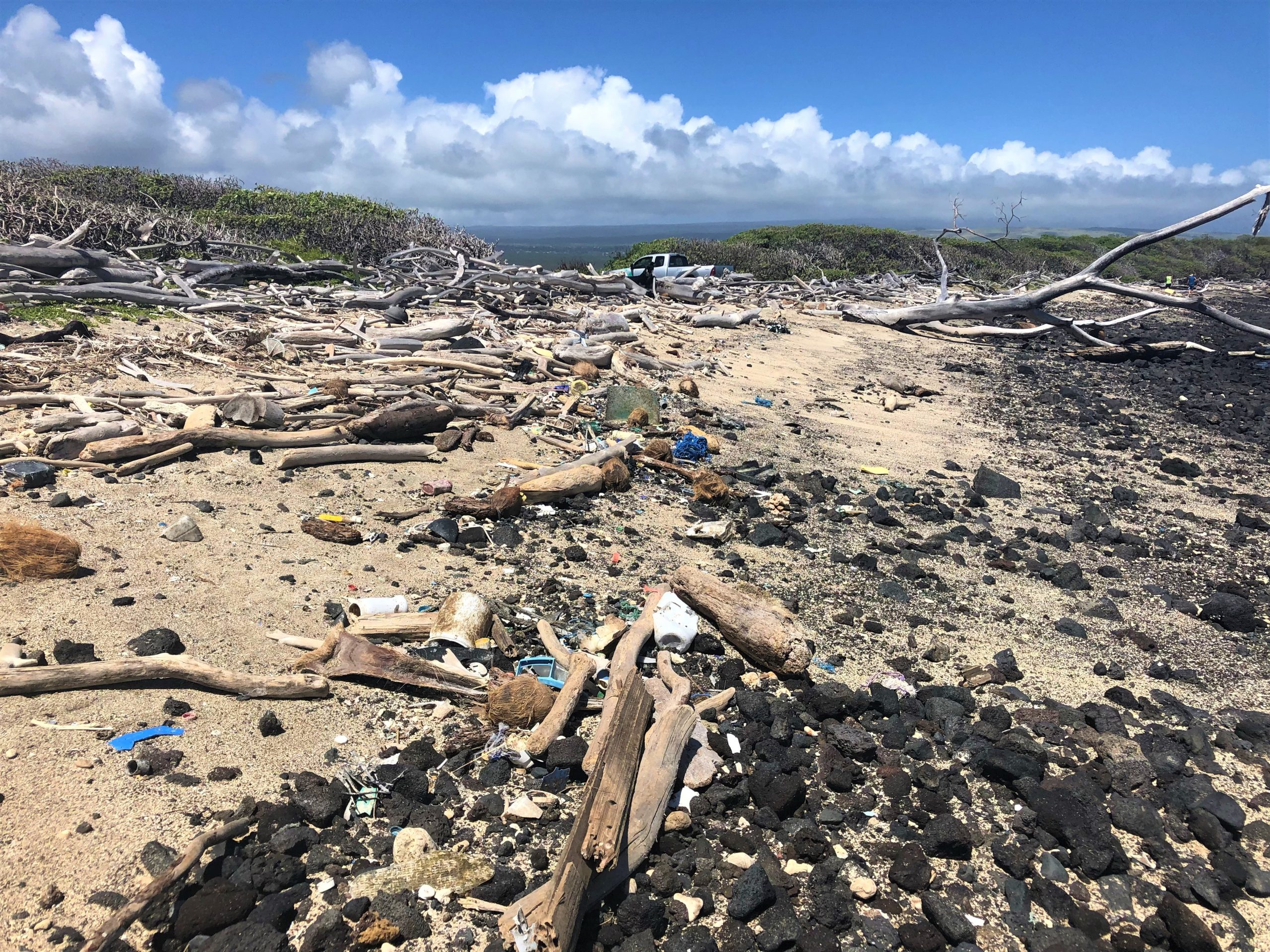 Plastic covering the sand.