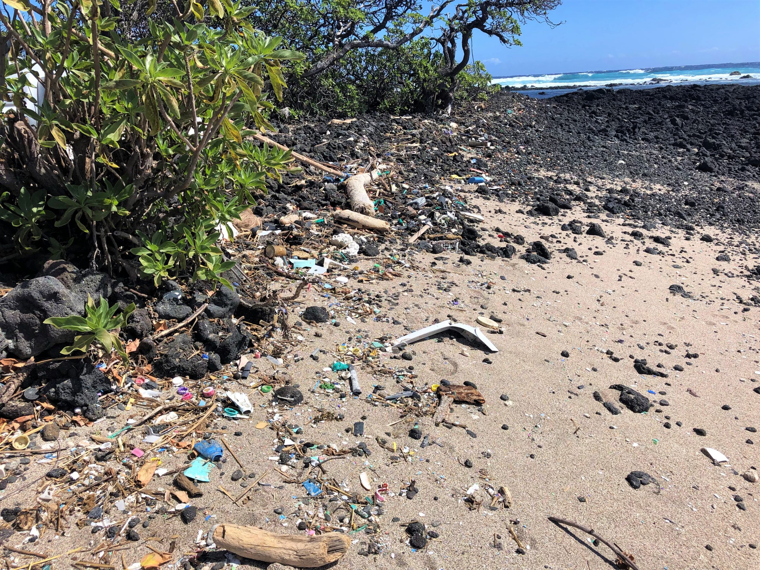 Bits of broken plastic littering the shoreline.