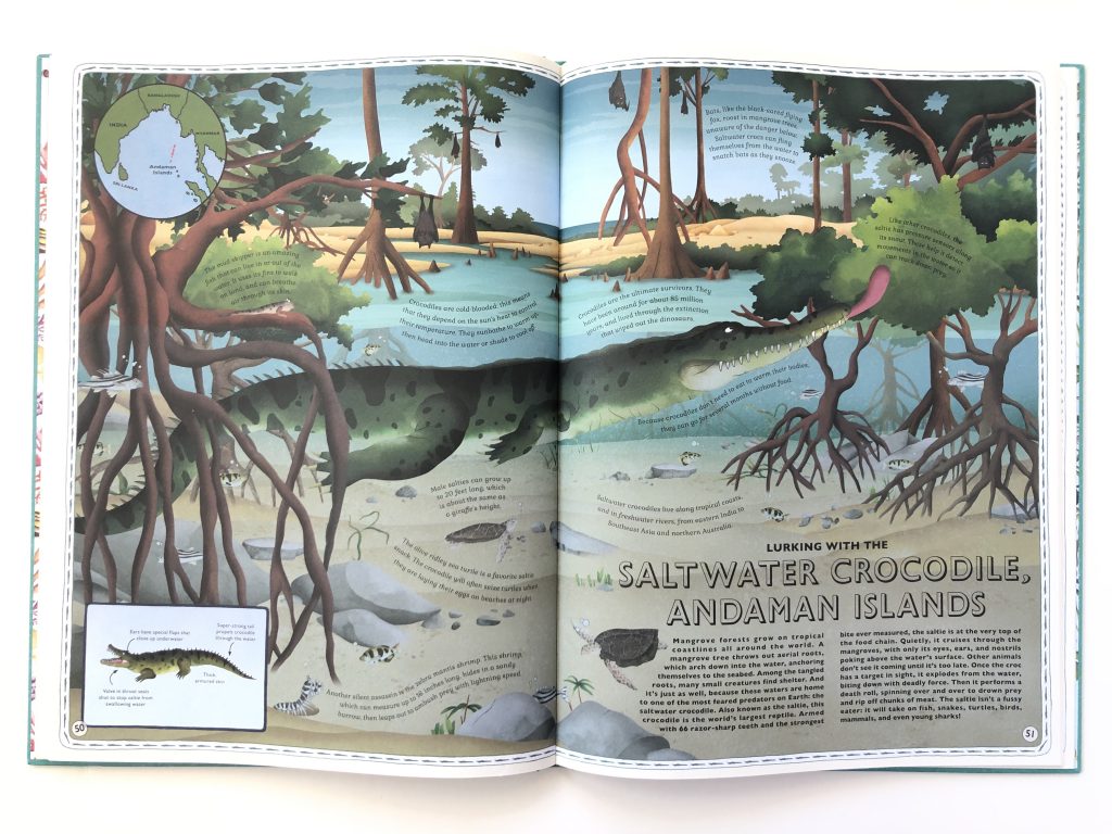 Saltwater Crocodile image from inside Atlas of Ocean Adventure