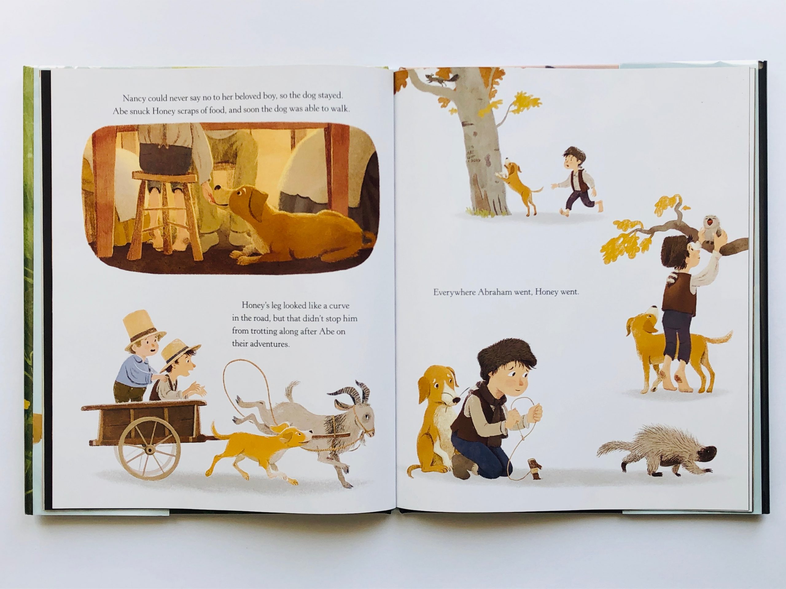 Beautiful artwork throughout Honey ~ The Dog Who Saved Abe Lincoln Book