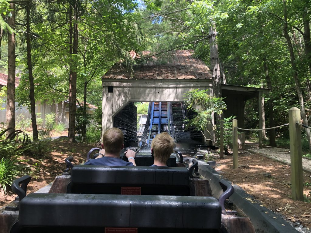 Dollywood Daredevil Falls.  Dollywood Reviews