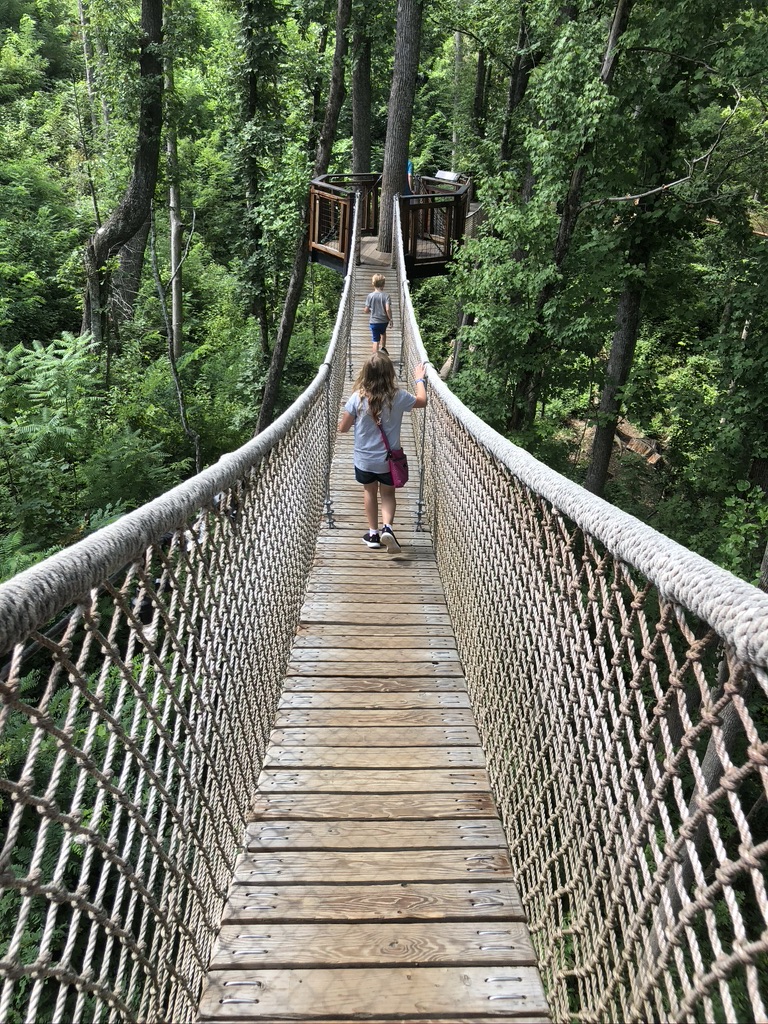 Kids walking the Treetop Bridges at Anakeesta, Gatlinburg, TN
