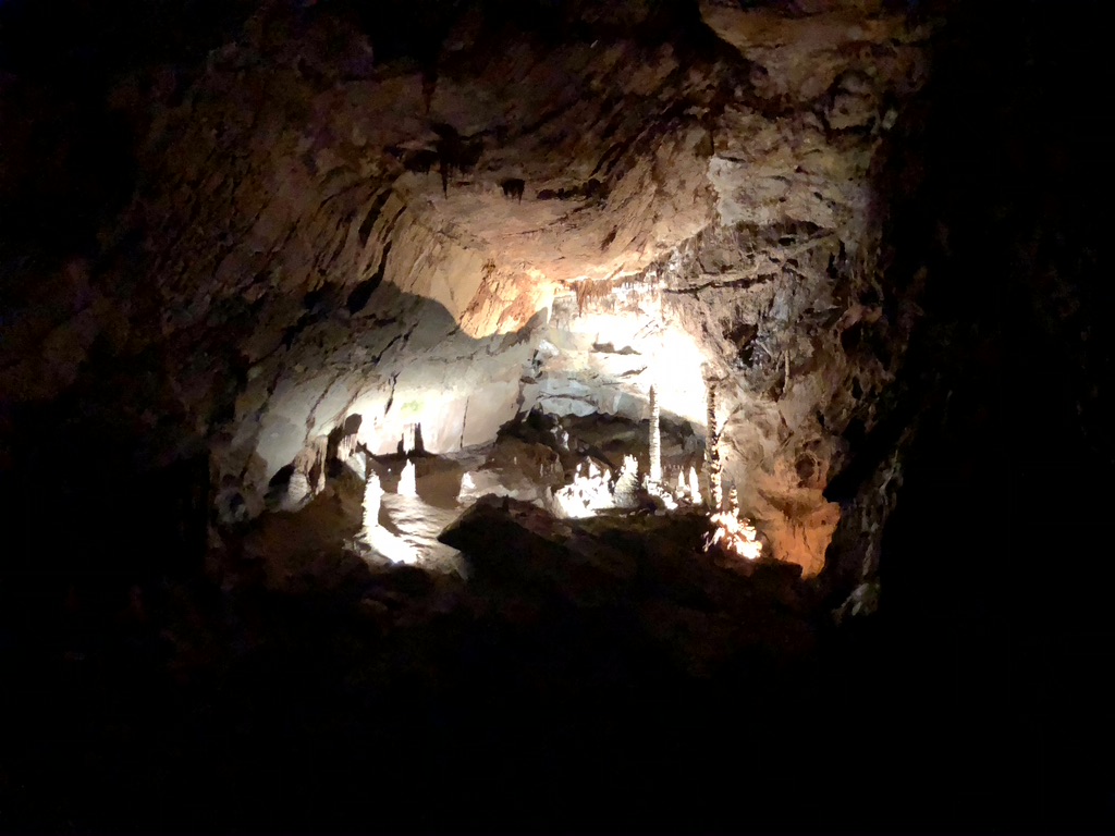 Stalagmites located inside the Big Room